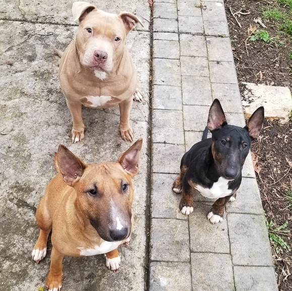 🖤 HEY HEY!! 🖤 - Picture 2 of 7